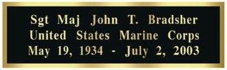 20ft Valley Forge Aluminum Flagpole.