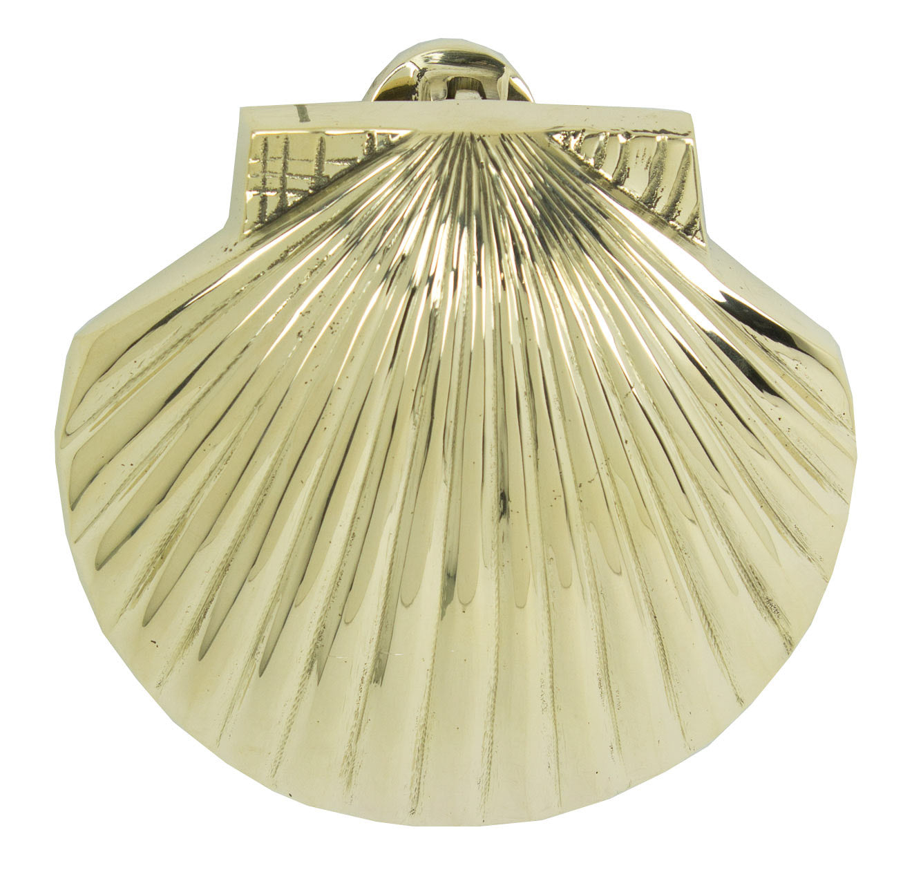 Shell Door Knocker