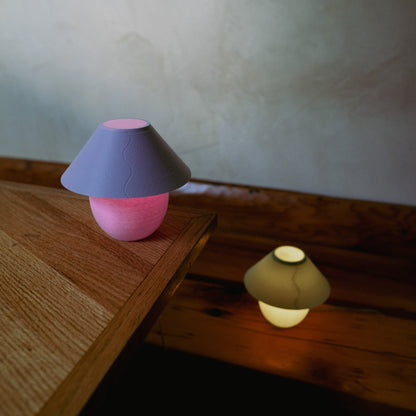 Scoop Lamp
