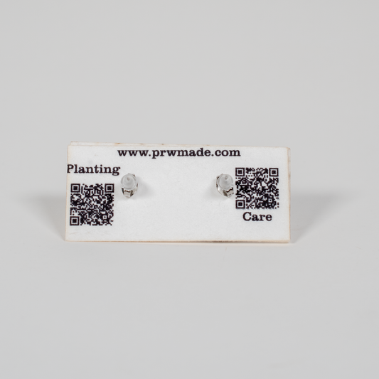 Small Wood Stud Earrings | Geometric Designs