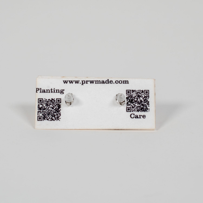 Small Wood Stud Earrings | 14 Geometric Designs