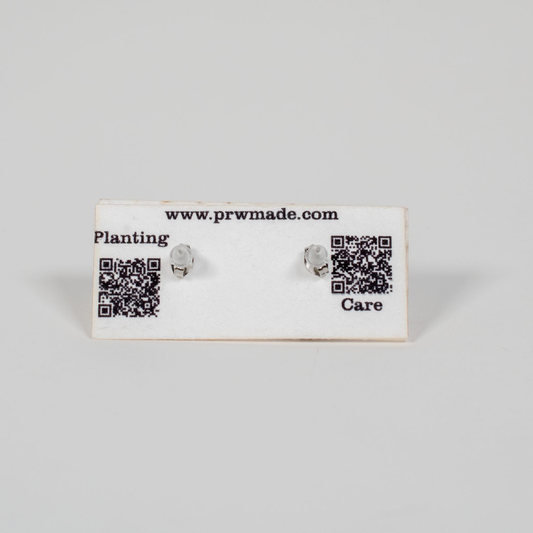 Small Wood Stud Earrings | Geometric Designs