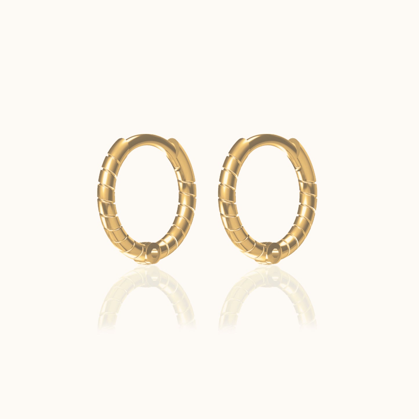 Twisted Hoop Earrings