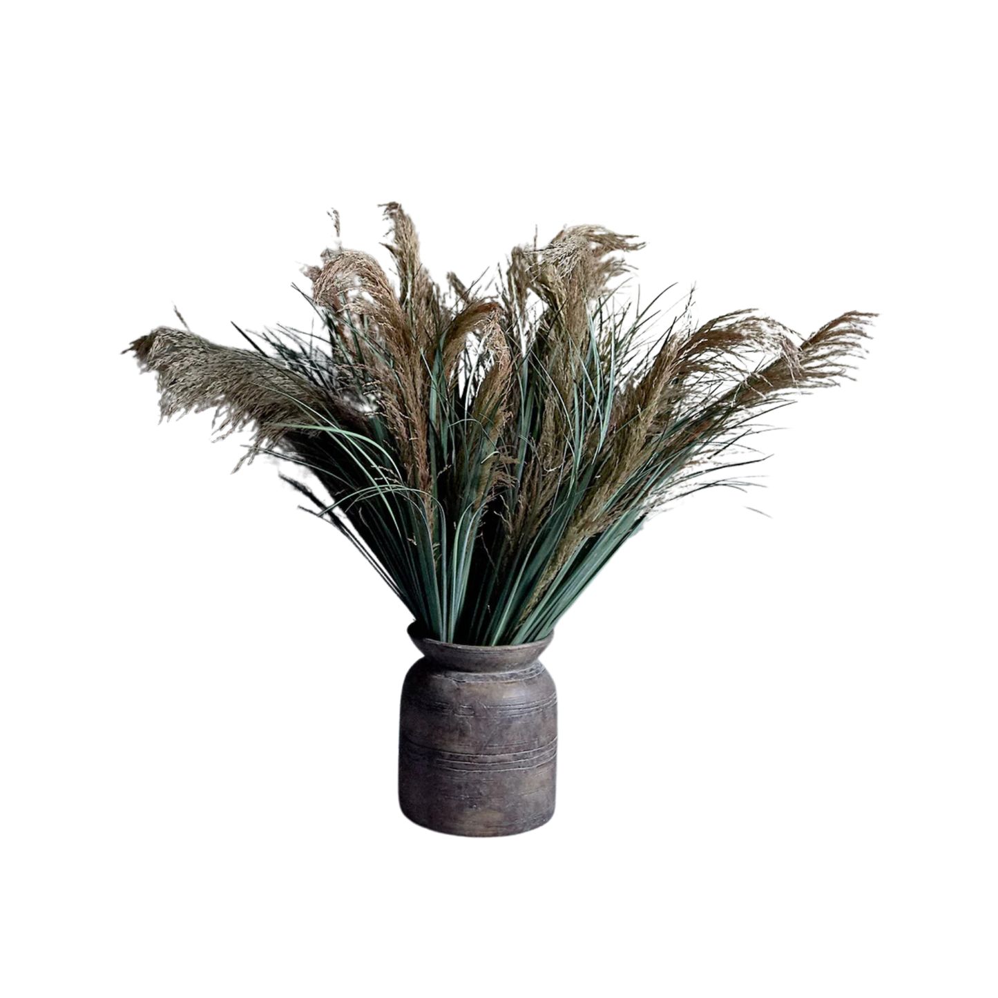 Wild Pampas Grass Stem