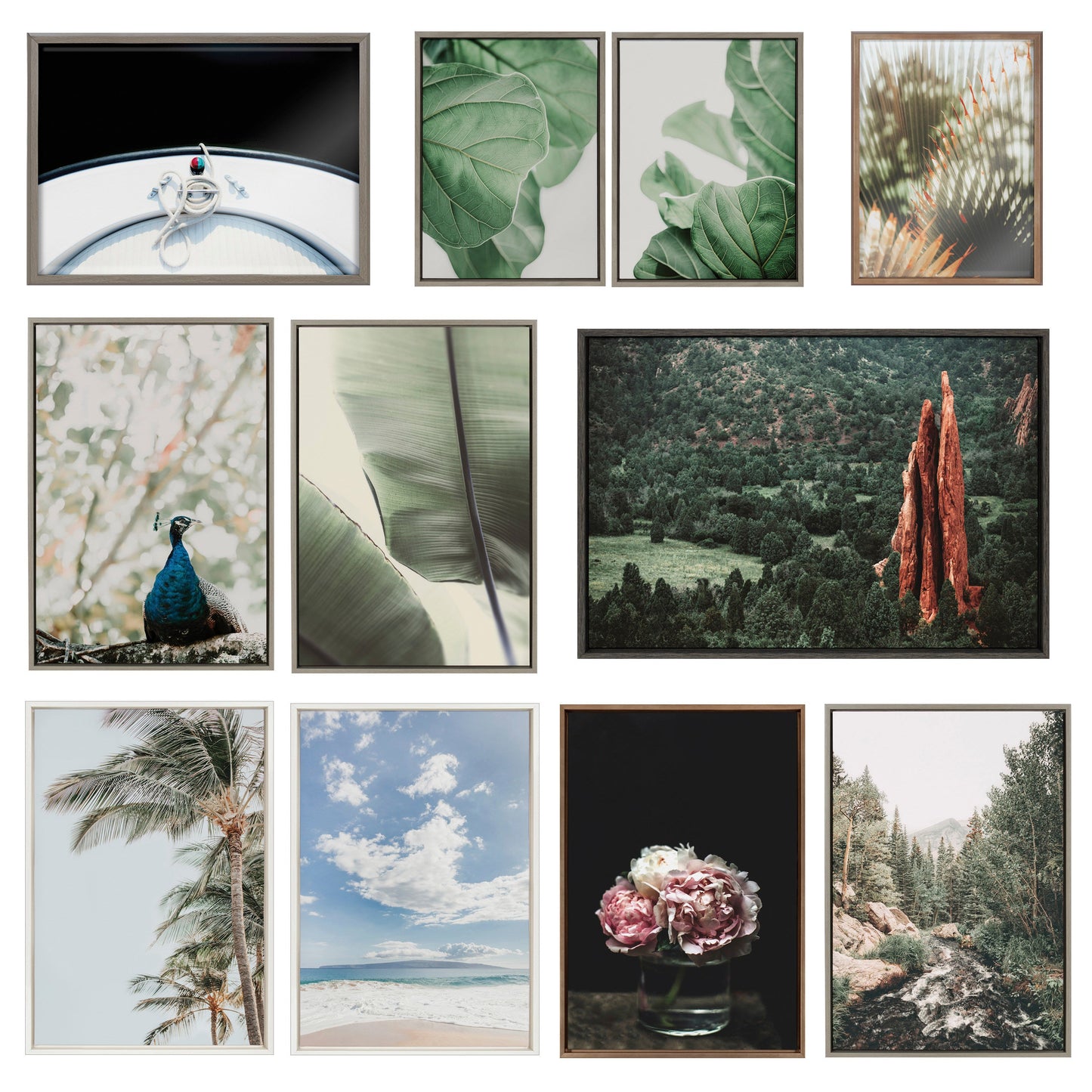Sylvie Plant Study 6 and Plant Study 7 Framed Canvas Set by Alicia Abla