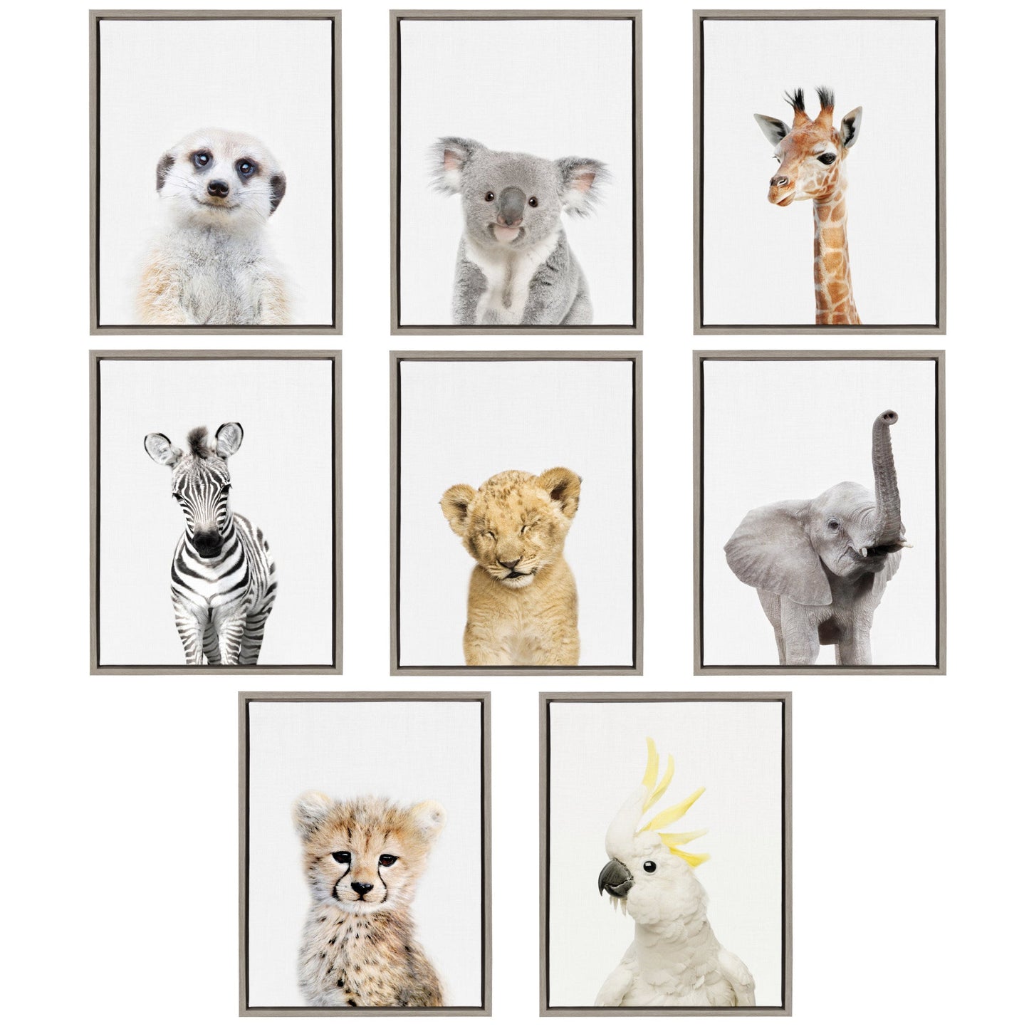 Sylvie Koala Framed Canvas by Amy Peterson Art Studio