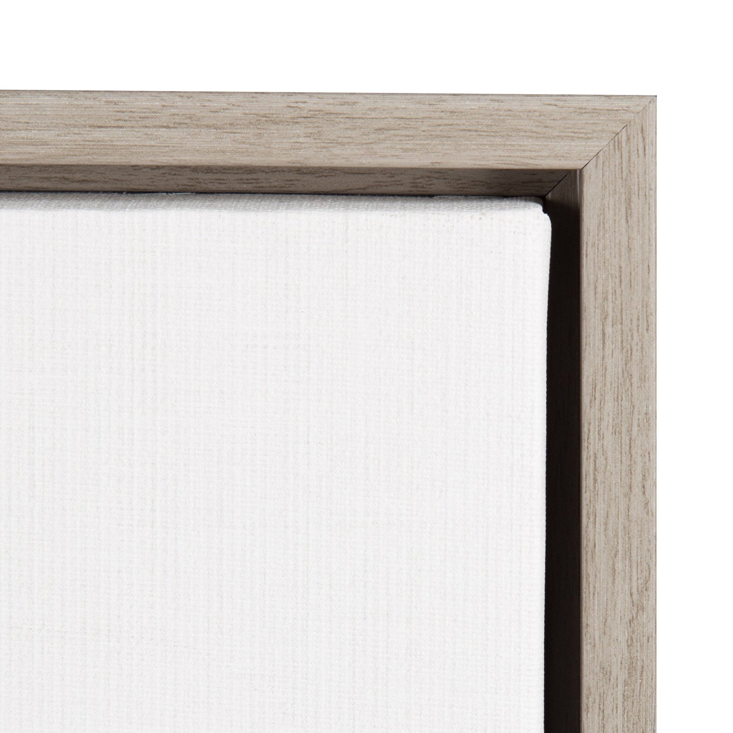 Sylvie Baby Goat Framed Canvas by Simon Te Tai