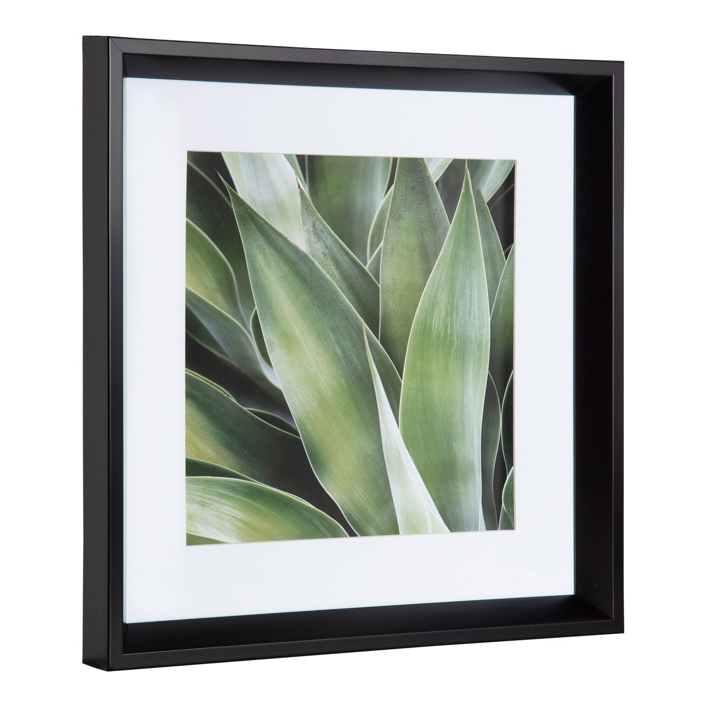 Calter Succulent Leaves Framed Print Art Set by Amy Peterson