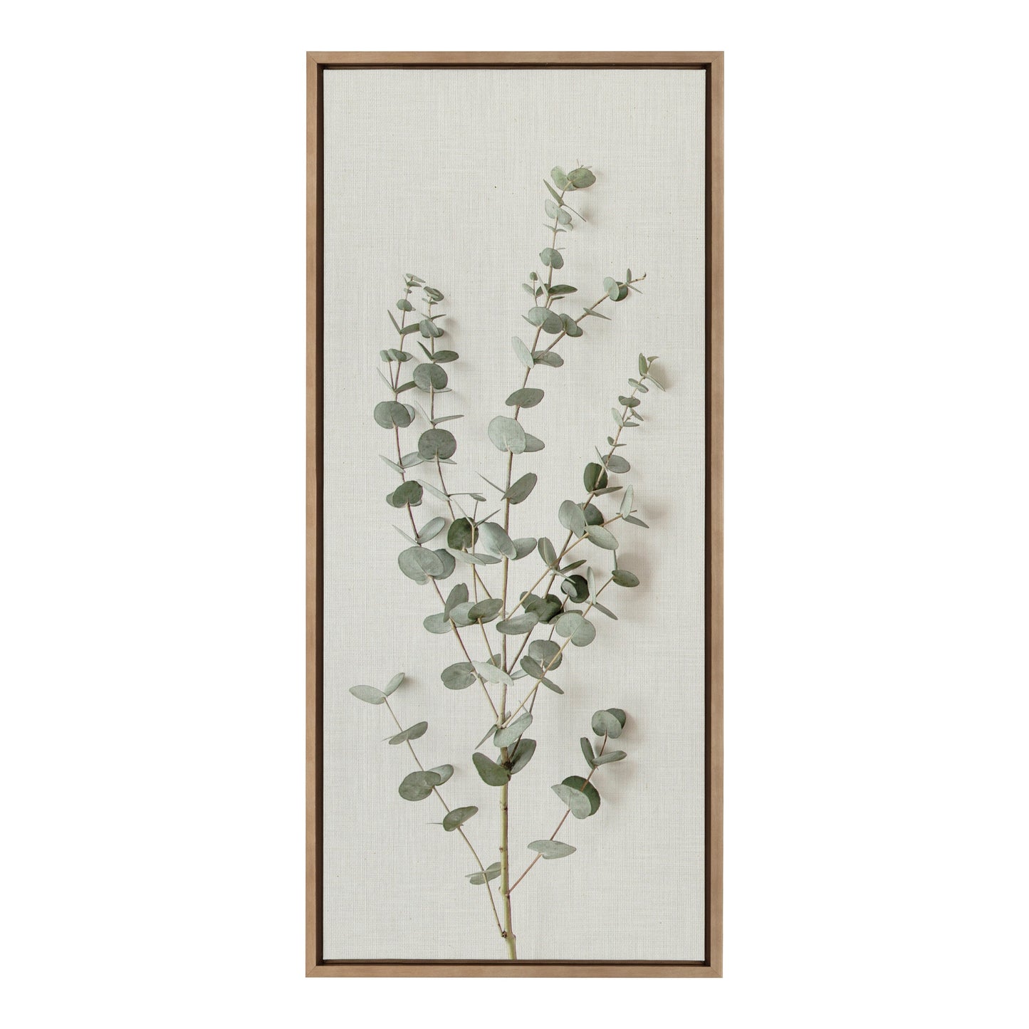 Sylvie Eucalyptus Botanical I Framed Canvas by The Creative Bunch Studio
