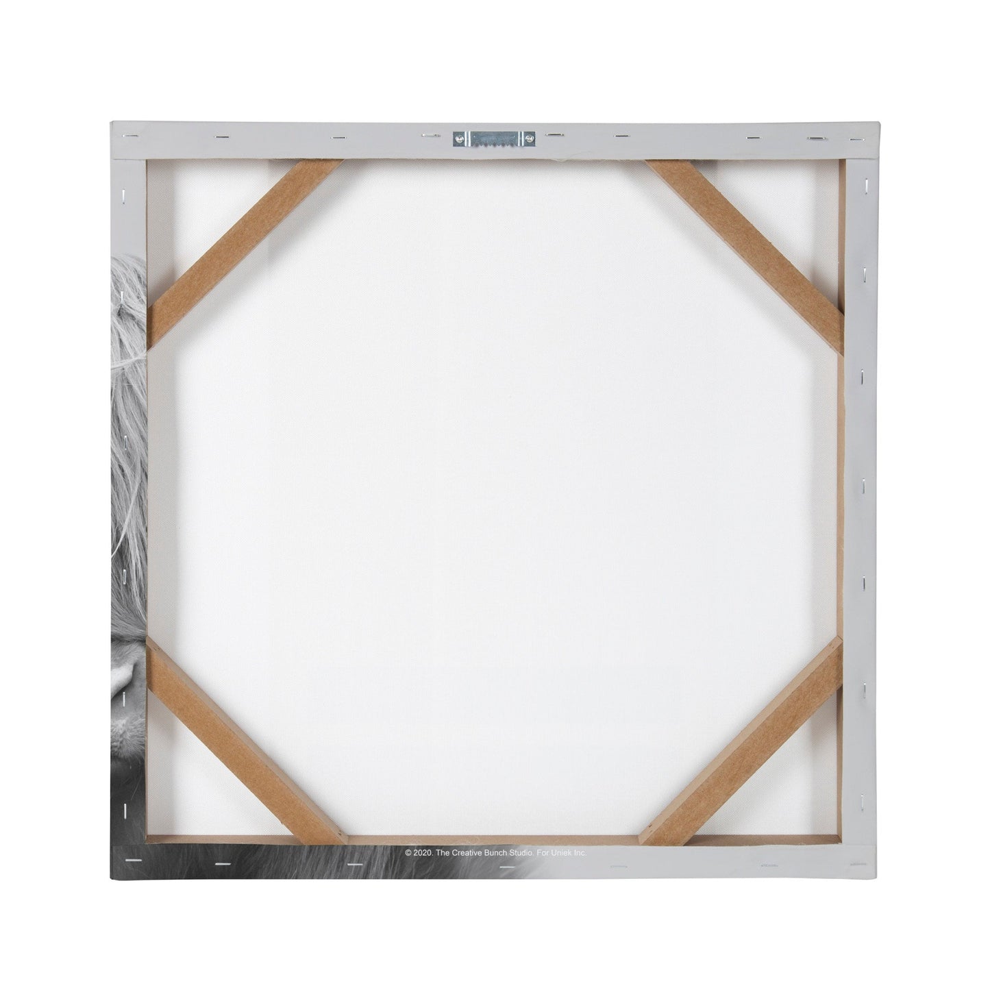 Hey Dude Highland Cow Gray Canvas by The Creative Bunch Studio