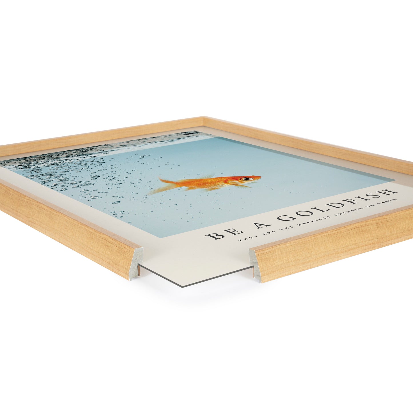 Blake Be A Goldfish Framed Printed Glass by The Creative Bunch Studio