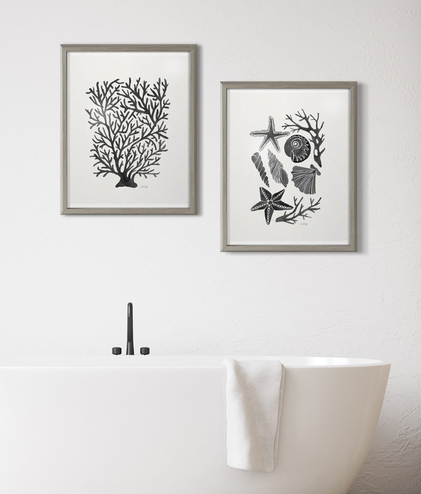 Blake Seashells Black Framed Printed Glass by Cat Coquillette