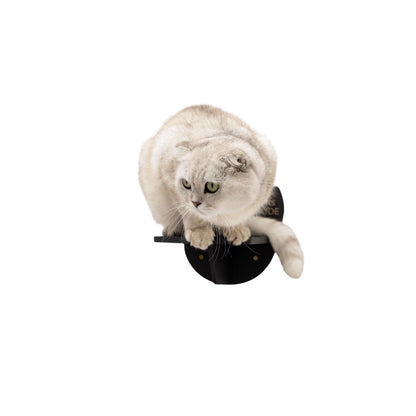 Wooden Cat Step - Black