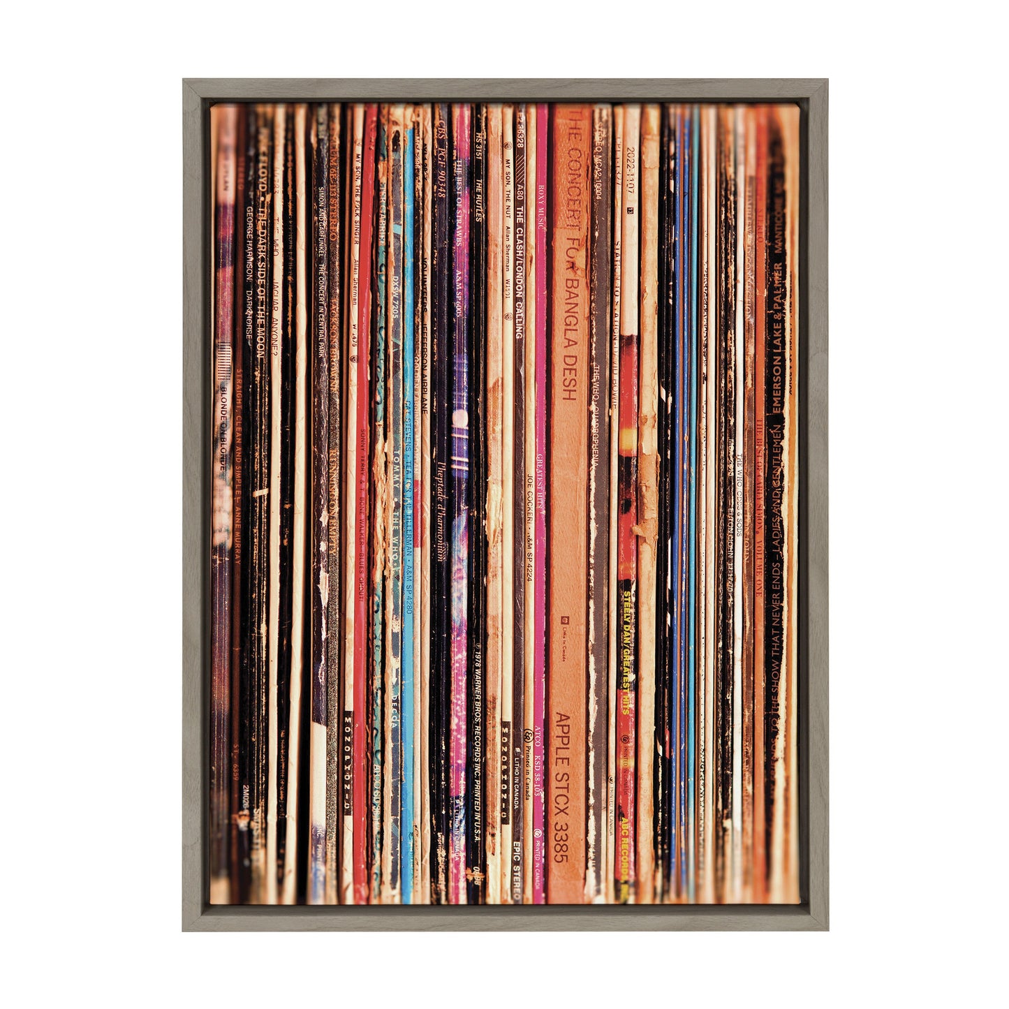 Sylvie Records Framed Canvas by Robert Cadloff of Bomobob