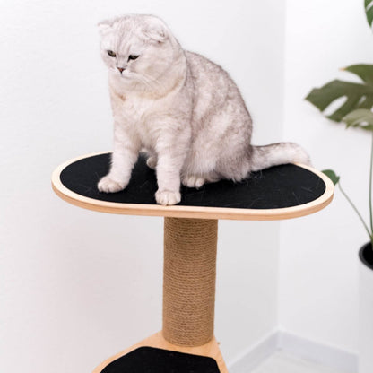 Small Cat Tower