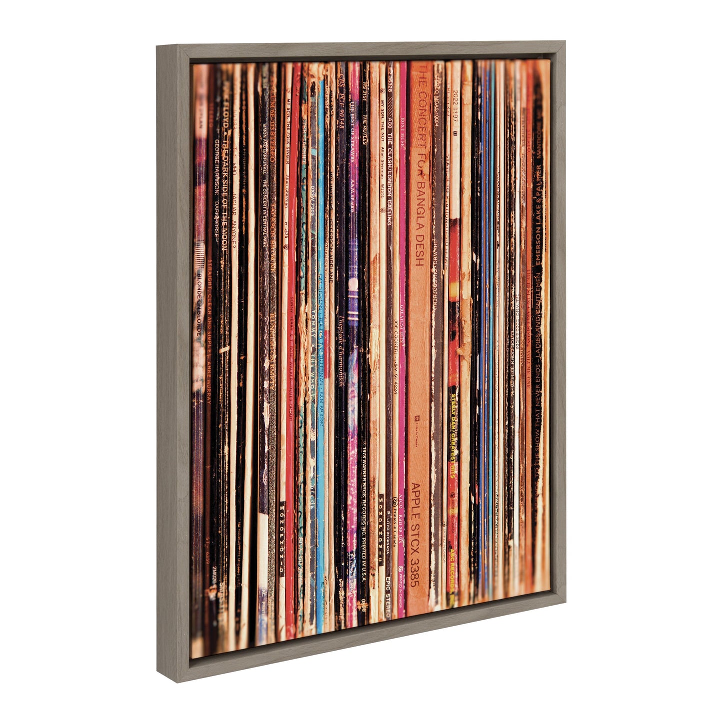 Sylvie Records Framed Canvas by Robert Cadloff of Bomobob