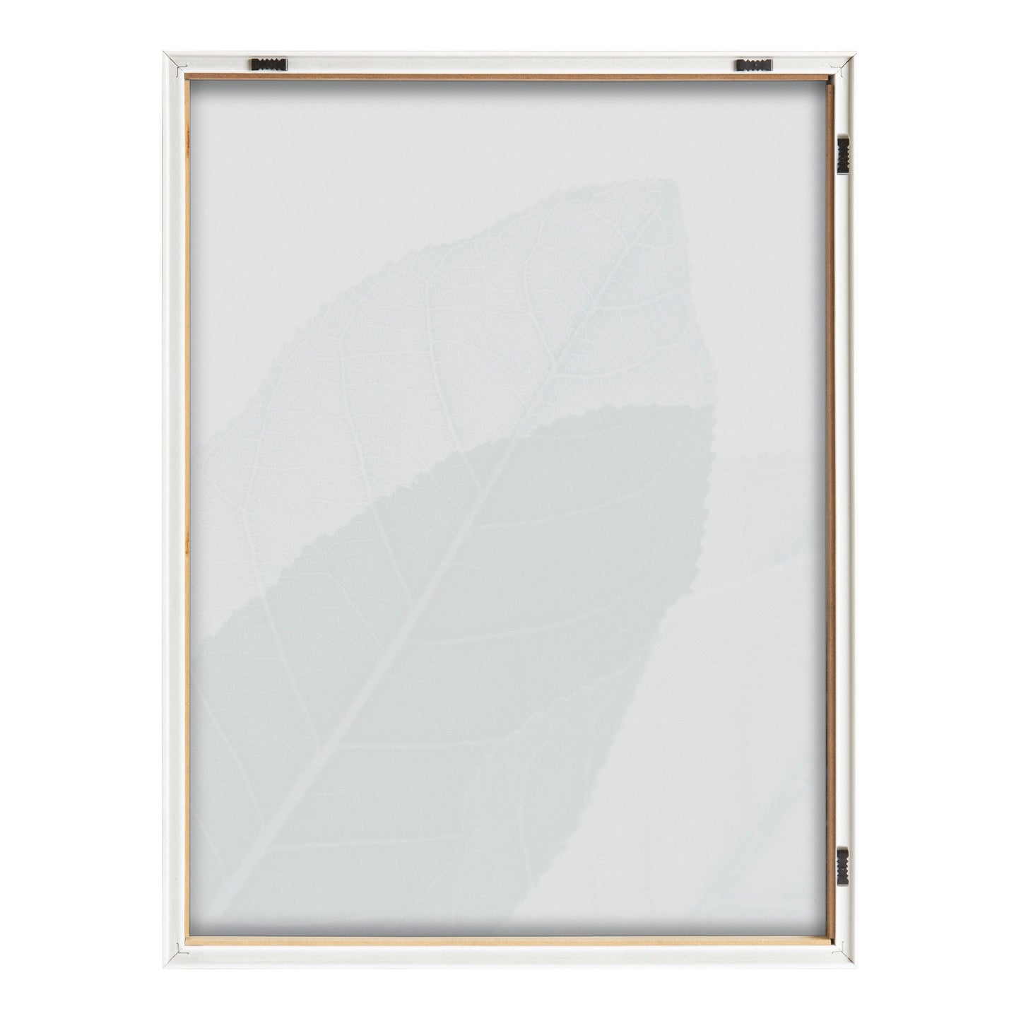 Blake Modern Green Leaf Botanical II Framed Printed Glass by The Creative Bunch Studio
