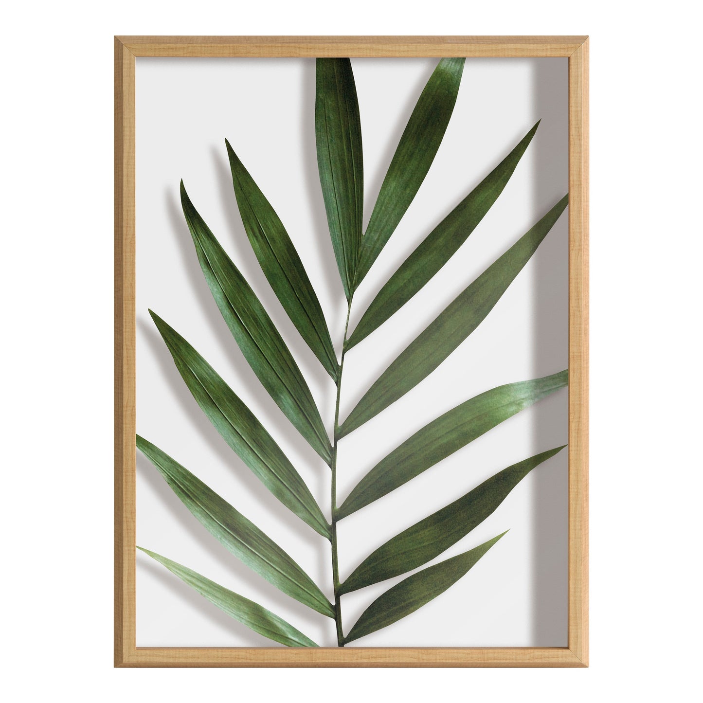 Blake Botanical 5F Framed Printed Glass by Amy Peterson