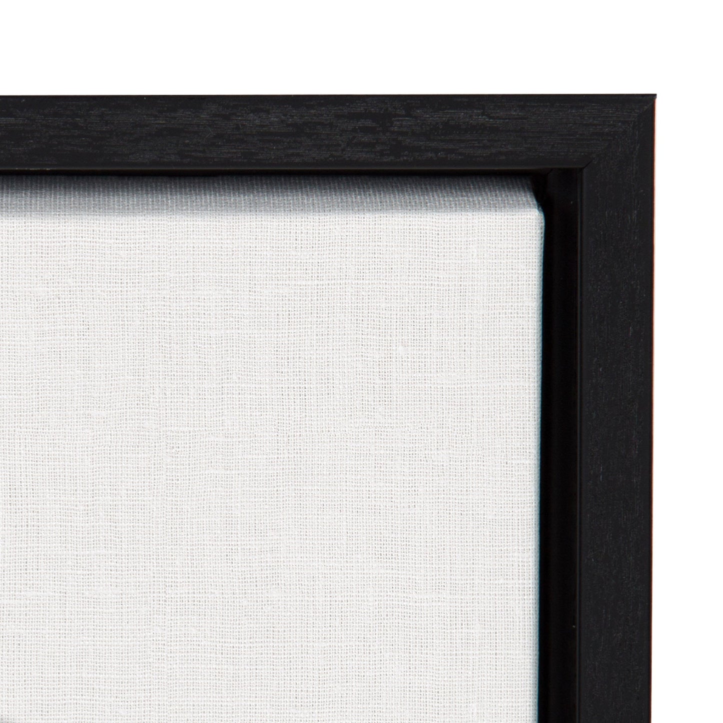 Sylvie Horizontal Golf Ball Portrait Framed Canvas, Black 18x24