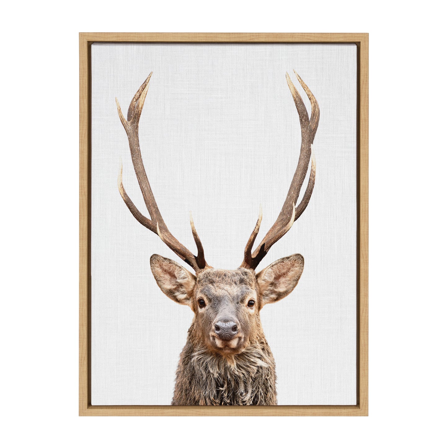 Sylvie The Red Deer Color Framed Canvas by Simon Te of Tai Prints