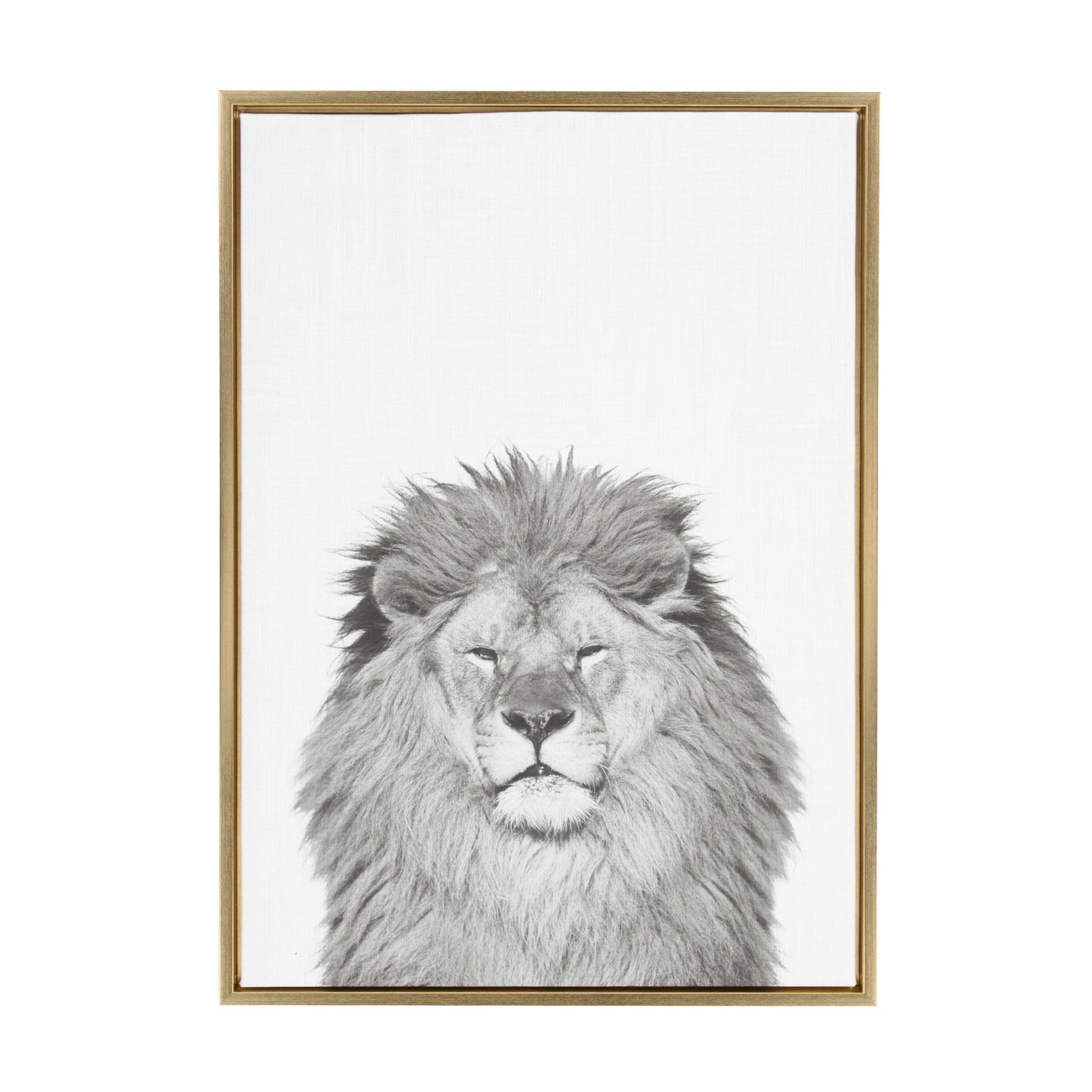 Sylvie Lion Framed Canvas by Simon Te Tai