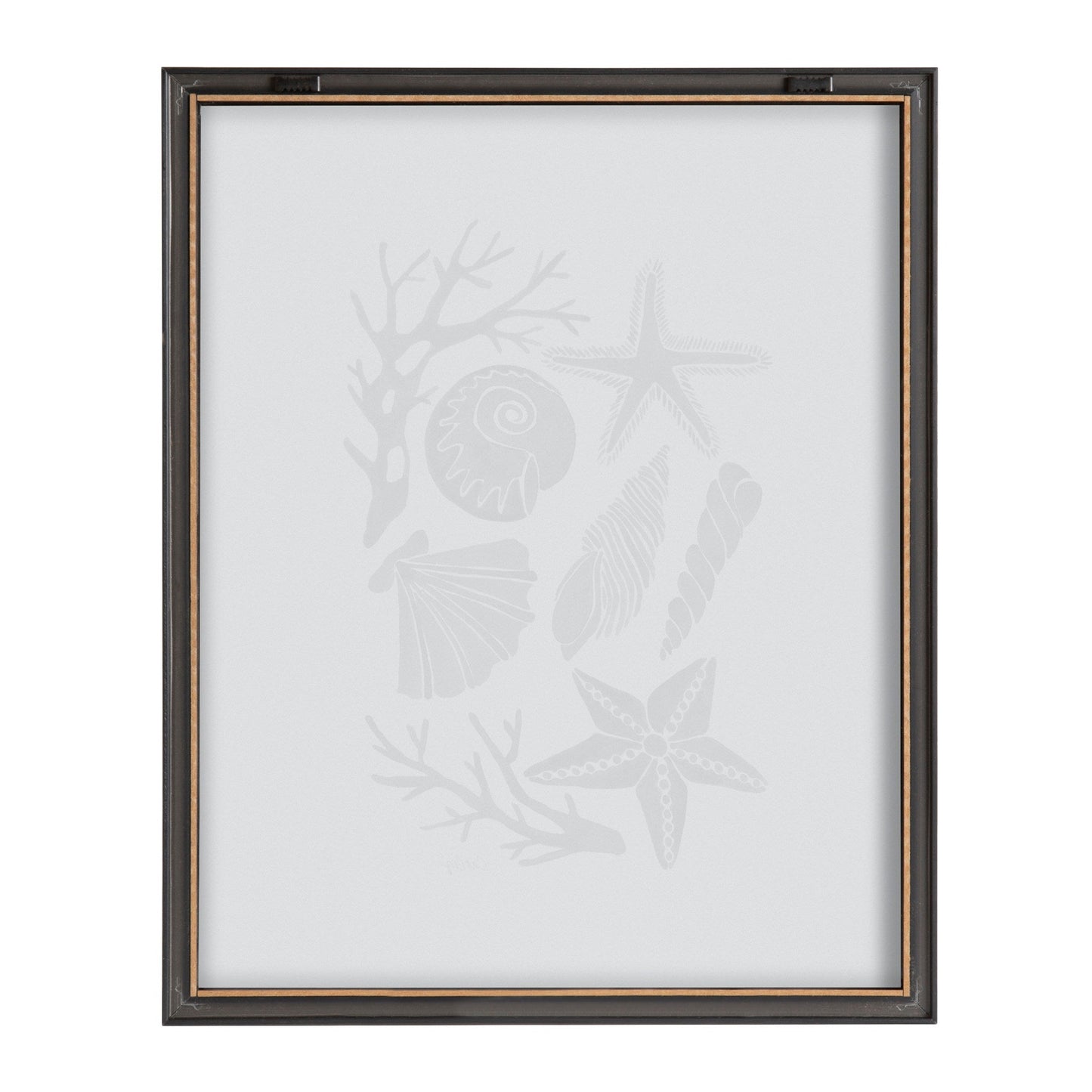 Blake Seashells Black Framed Printed Glass by Cat Coquillette