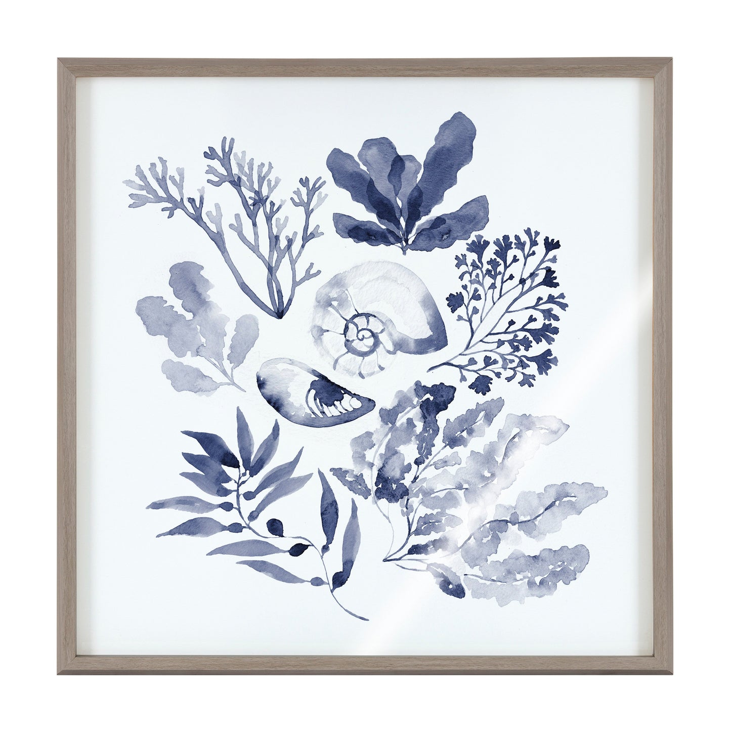 Blake Indigo Shells Framed Printed Acrylic by Sara Berrenson