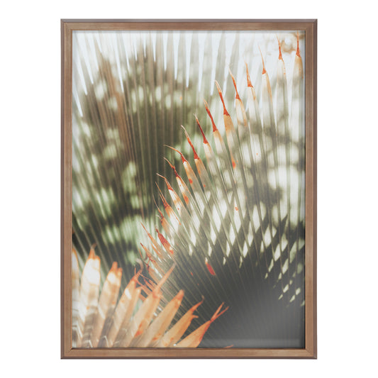 Blake Yellow Tipped Fern Framed Printed Glass by Alicia Abla