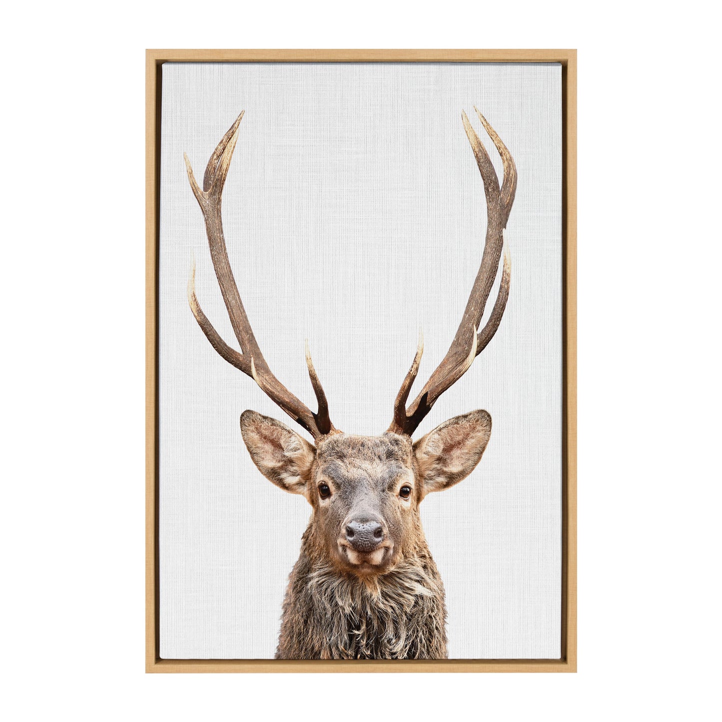 Sylvie The Red Deer Color Framed Canvas by Simon Te of Tai Prints