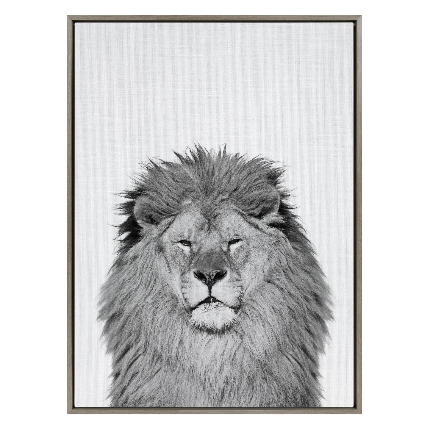 Sylvie Lion Framed Canvas by Simon Te Tai
