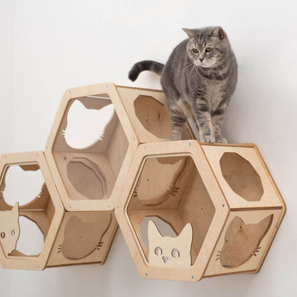 Honeycomb Cat Shelves Light