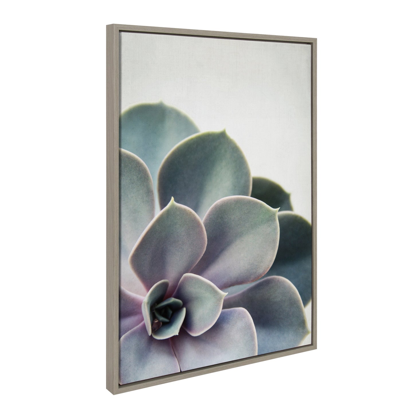 Sylvie Succulent 5 Framed Canvas by F2 Images