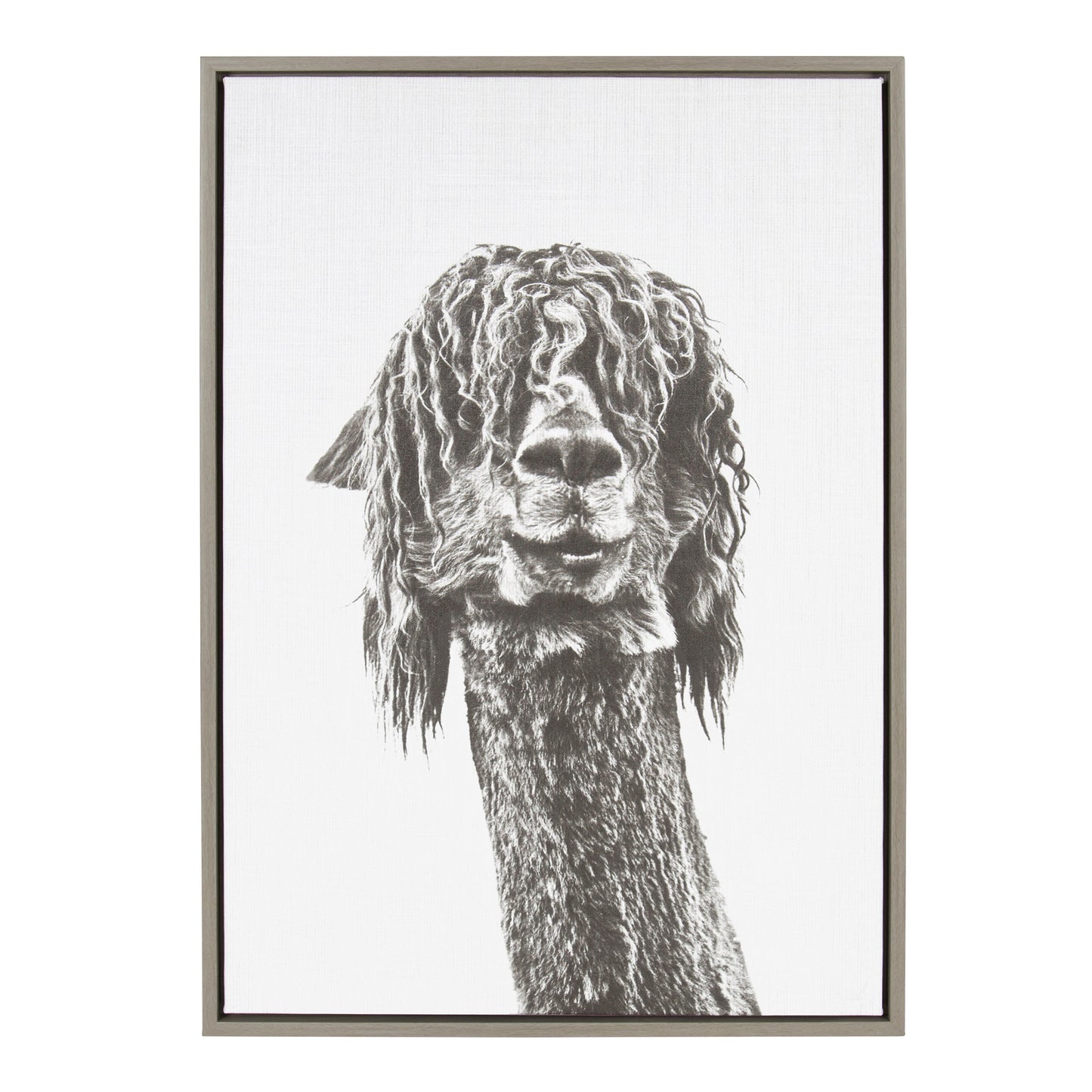 Sylvie Curly Hair Alpaca Framed Canvas by Simon Te Tai
