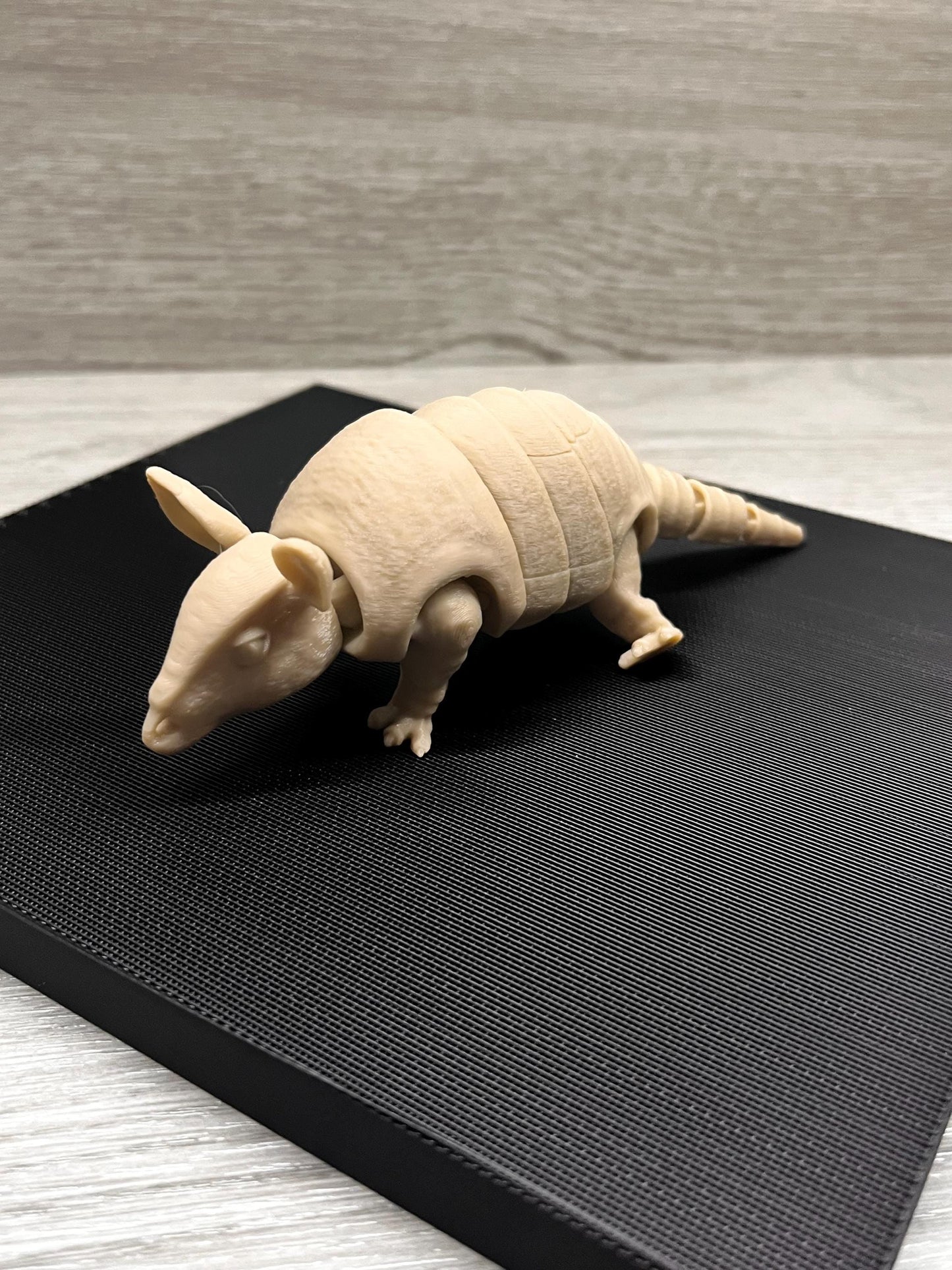 3D Printed Flexible Armadillo