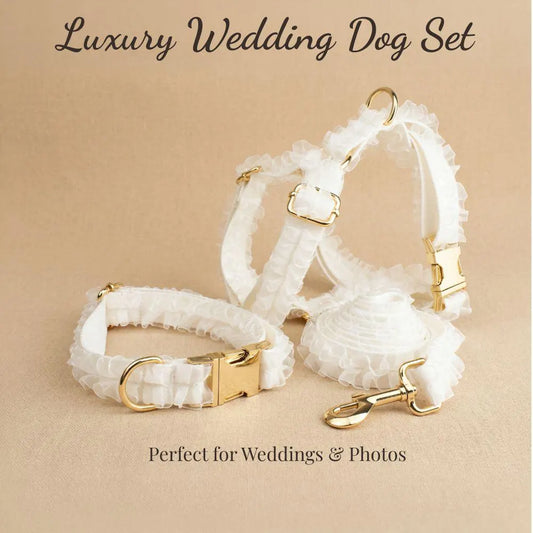 Wedding White Lace Set