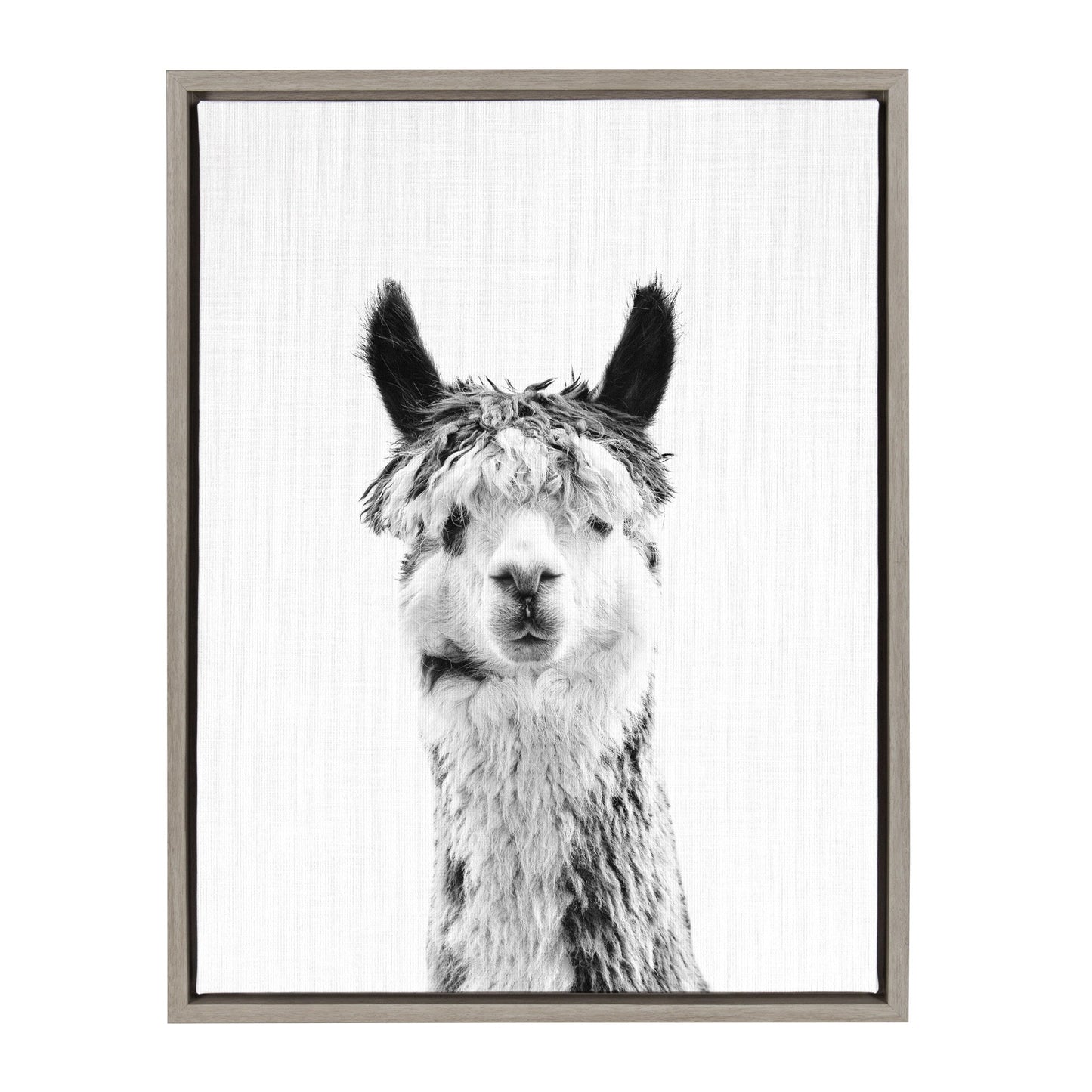 Sylvie Llama Framed Canvas by Simon Te Tai