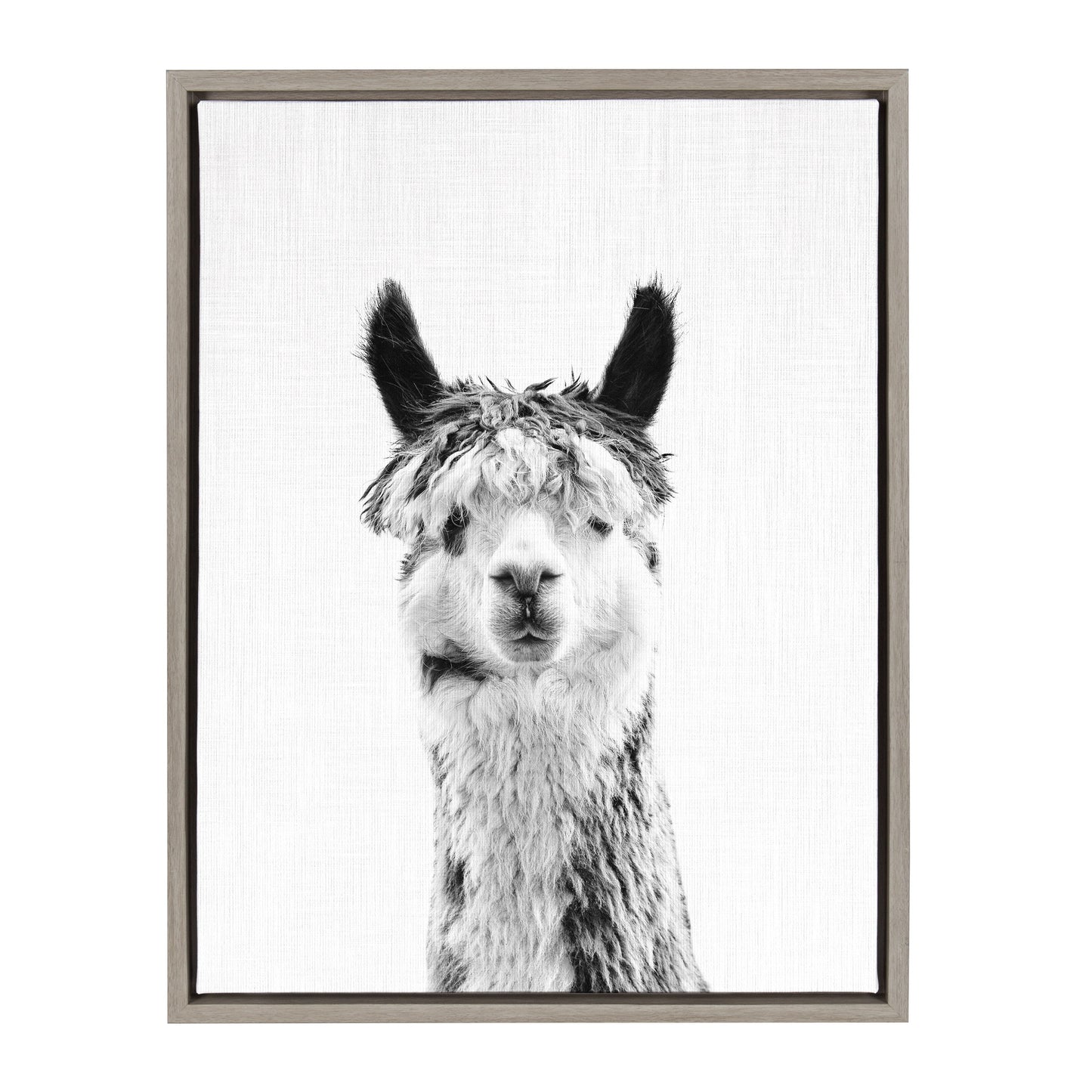 Sylvie Llama Framed Canvas by Simon Te Tai