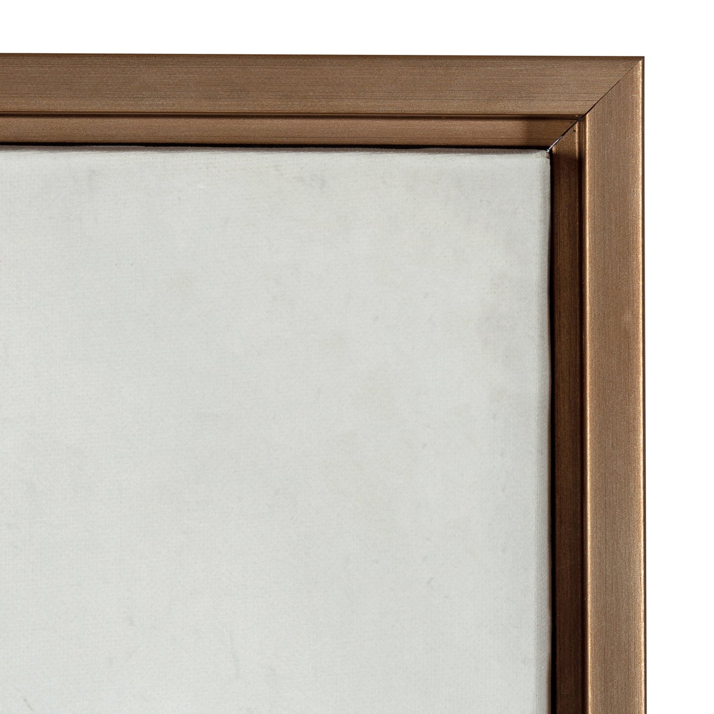 Sylvie Succulent 5 Framed Canvas by F2 Images