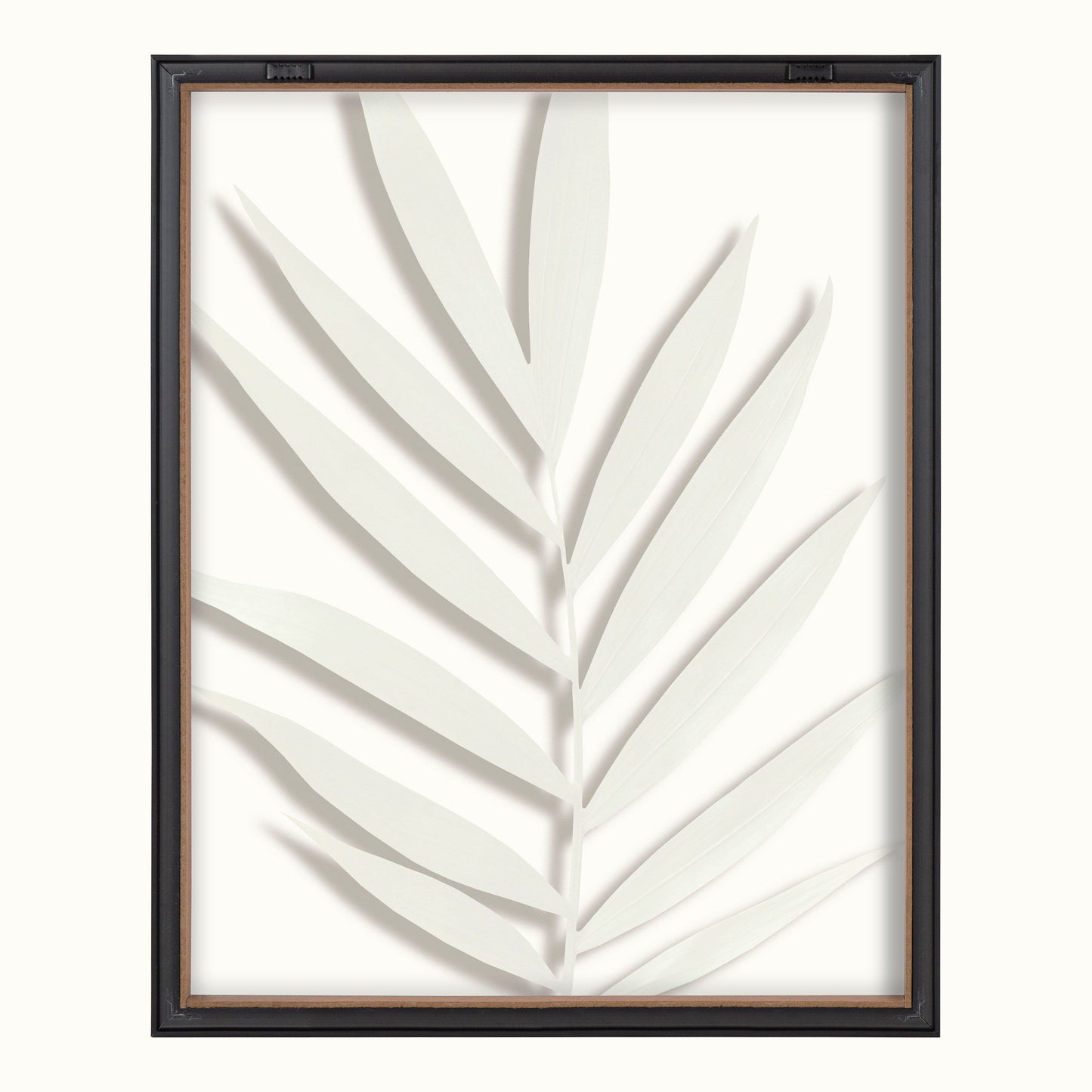 Blake Botanical 5F Framed Printed Glass by Amy Peterson