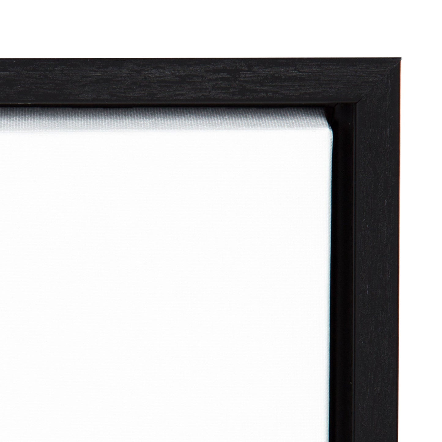 Sylvie Modern Botanical Vase 3 Framed Canvas by The Creative Bunch Studio