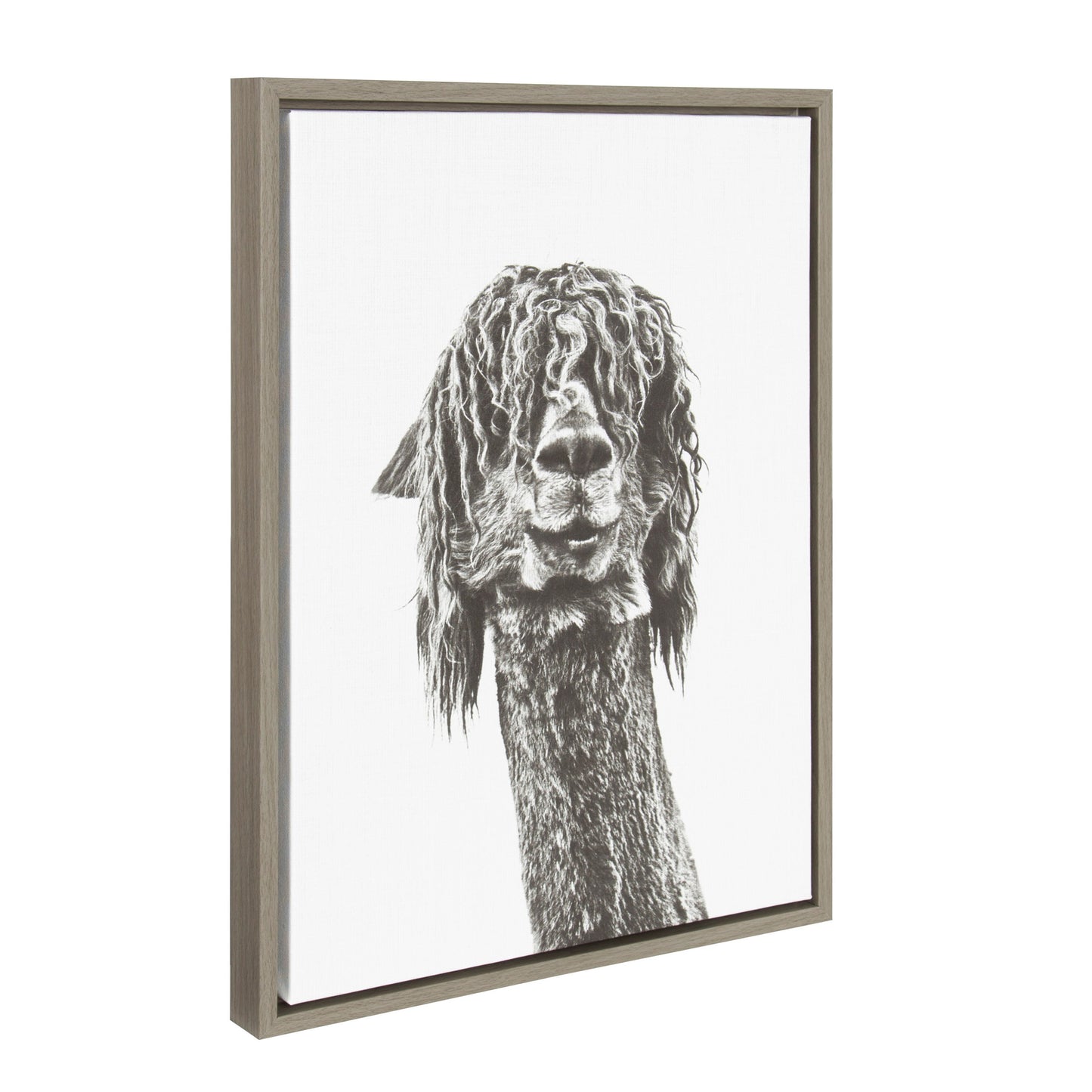Sylvie Curly Hair Alpaca Framed Canvas by Simon Te Tai