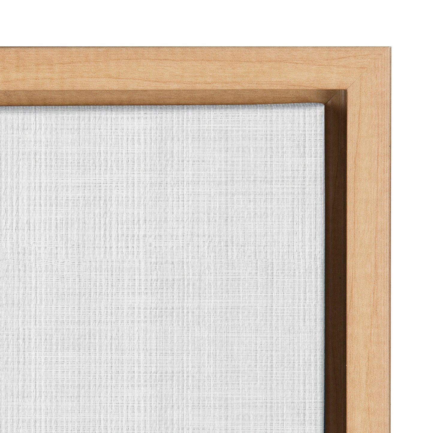 Sylvie Lion Framed Canvas by Simon Te Tai