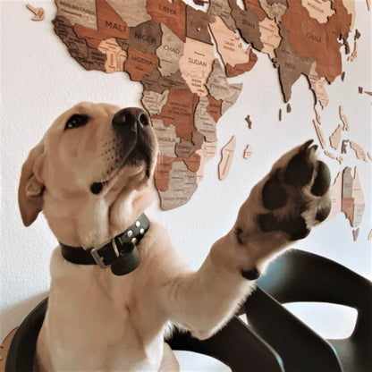 Brown Wall Art for Living Room