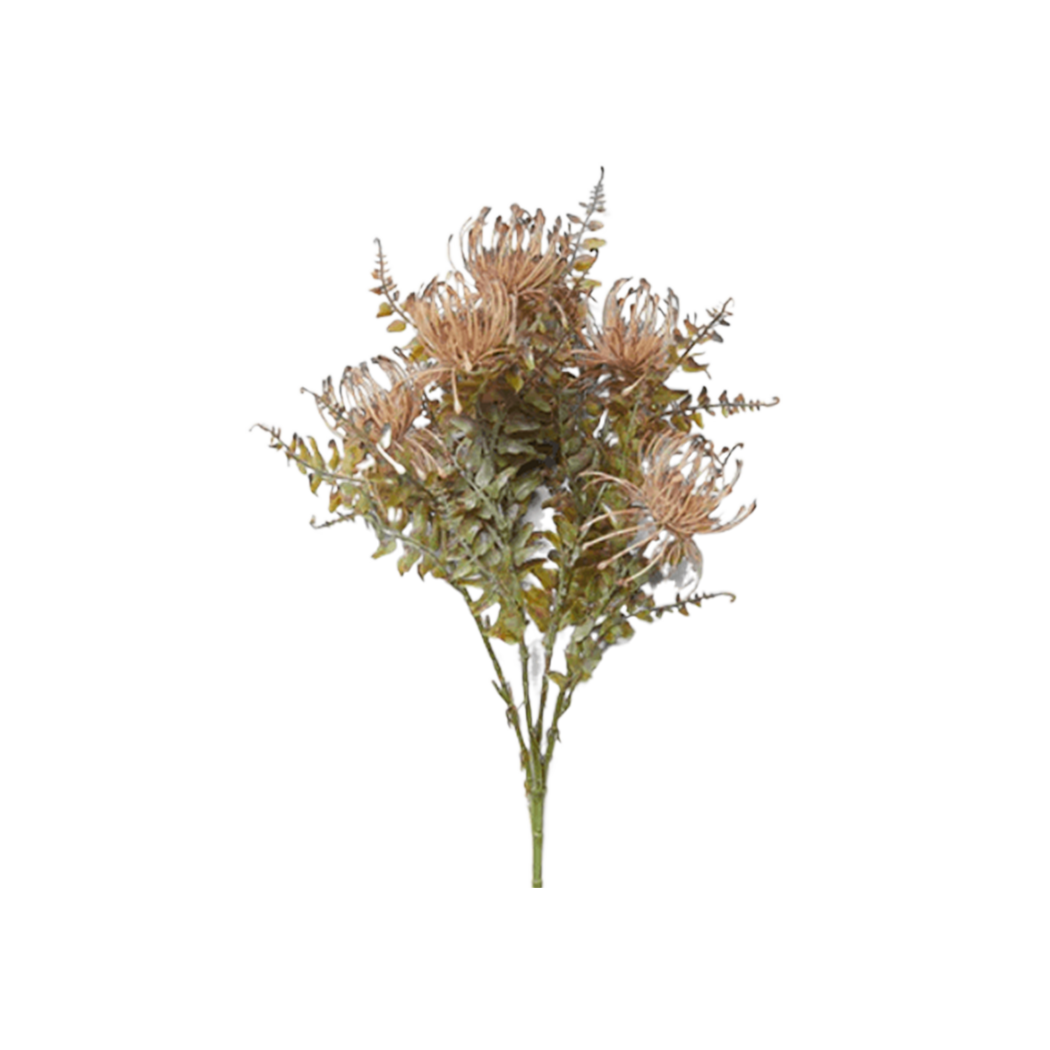 Leucospermum Bush Stem