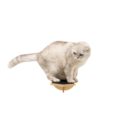 Wooden Cat Step - Light