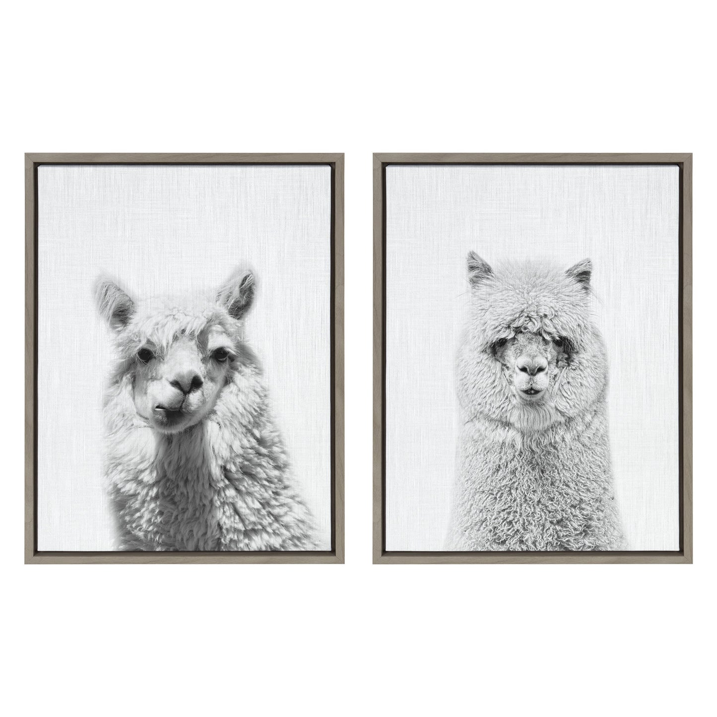 Sylvie Alpaca Portrait Set Framed Canvas By Simon Te