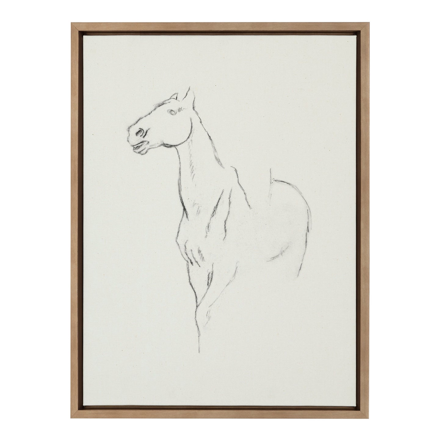 Sylvie Edgar Degas Horse Turned Three Quarters 1880 BW Framed Canvas by The Art Institute of Chicago