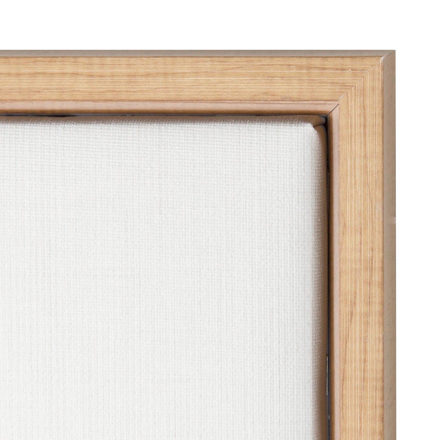Sylvie Giraffe Framed Canvas by Simon Te of Tai Prints
