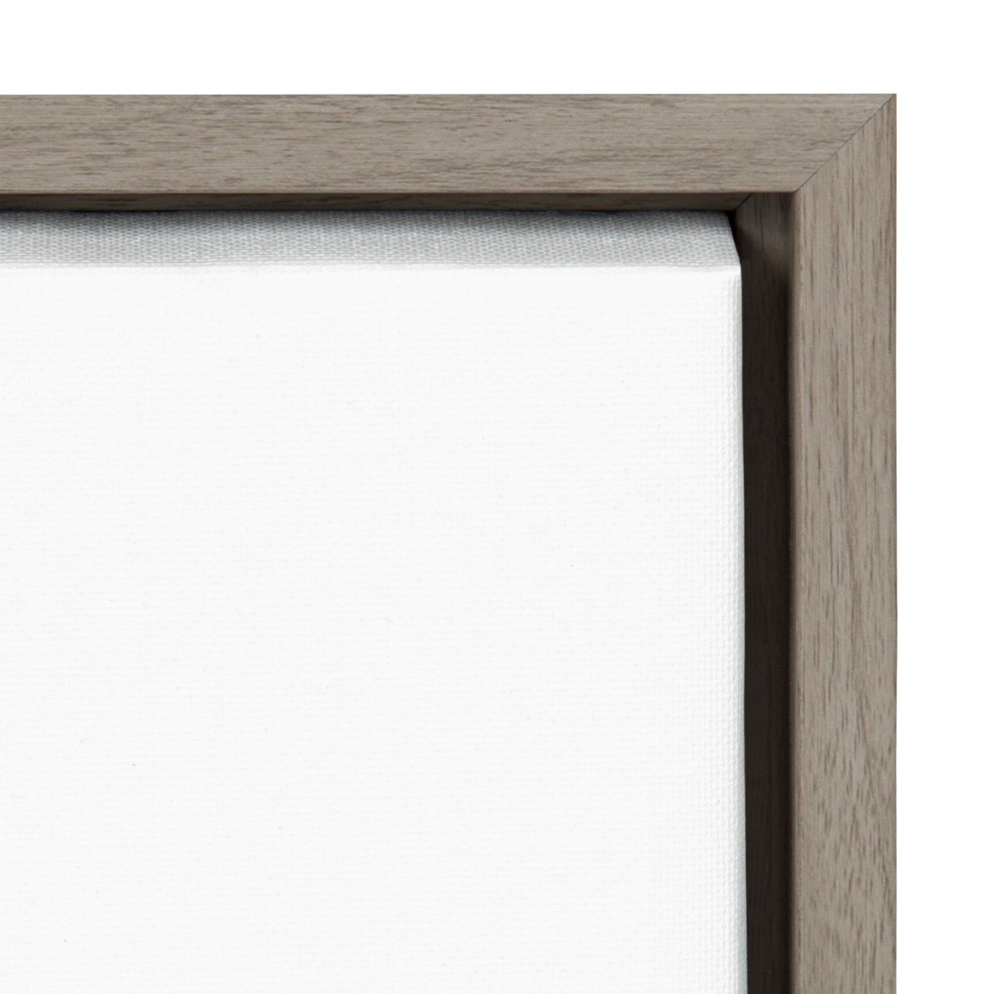 Sylvie Waxing Flower Moon Framed Canvas by Ingrid Sanchez of CreativeIngrid