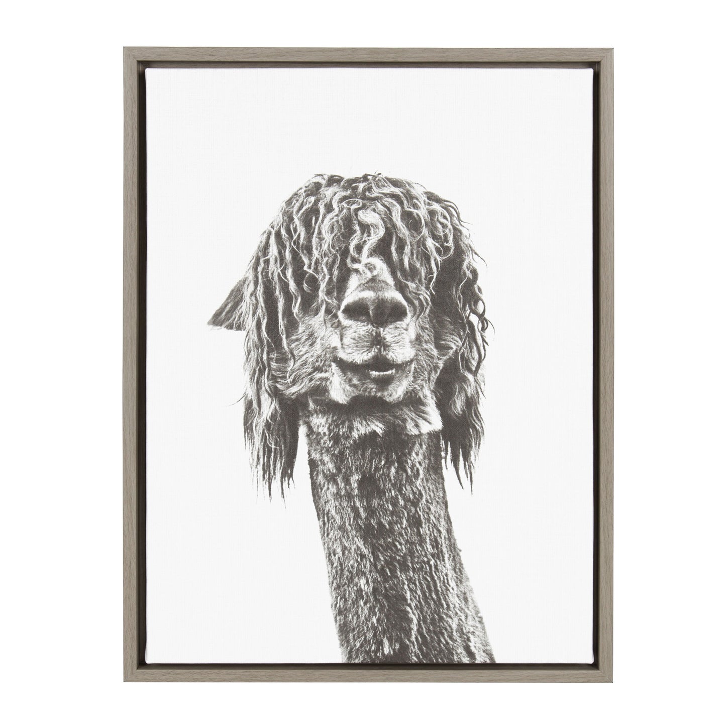 Sylvie Curly Hair Alpaca Framed Canvas by Simon Te Tai